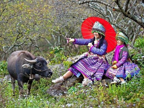 Northwest Vietnam Adventure 10 Days